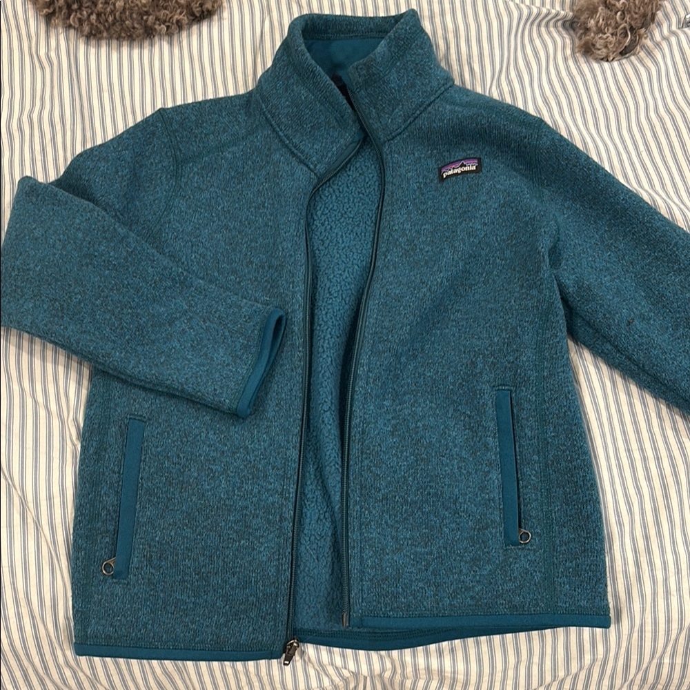 Patagonia Blue Full-Zip Jacket